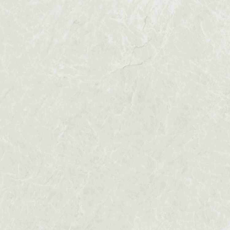 Kraken Light Polished 48 x 48